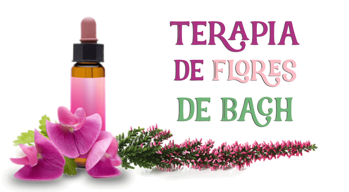 Flores de Bach - Remedio florar del Dr.Bach y Rosa Soler
