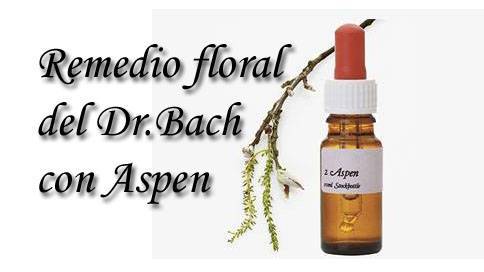 remedio floral aspen