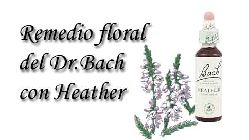 remedio floral con heather