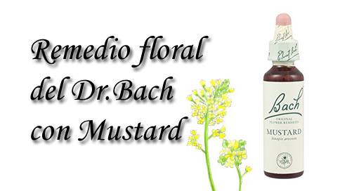 remedio floral con mustard