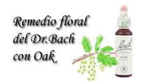 remedio floral con oak
