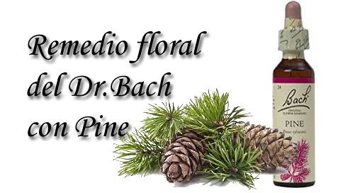 remedio floral con pine