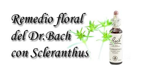 remedio floral con scleranthus