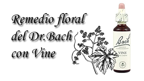remedio floral con vine