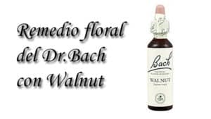 remedio floral con walnut