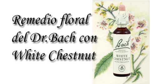 remedio floral con white chestnut