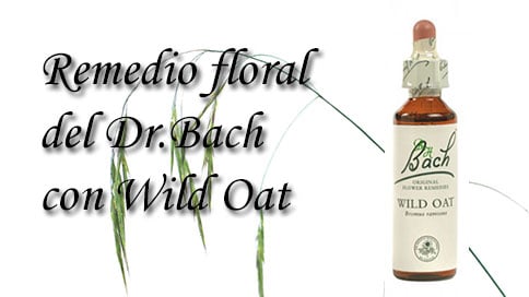remedio floral con wild oat
