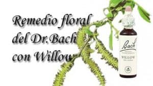 remedio floral con willow