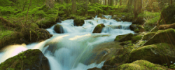 rock-water rock water